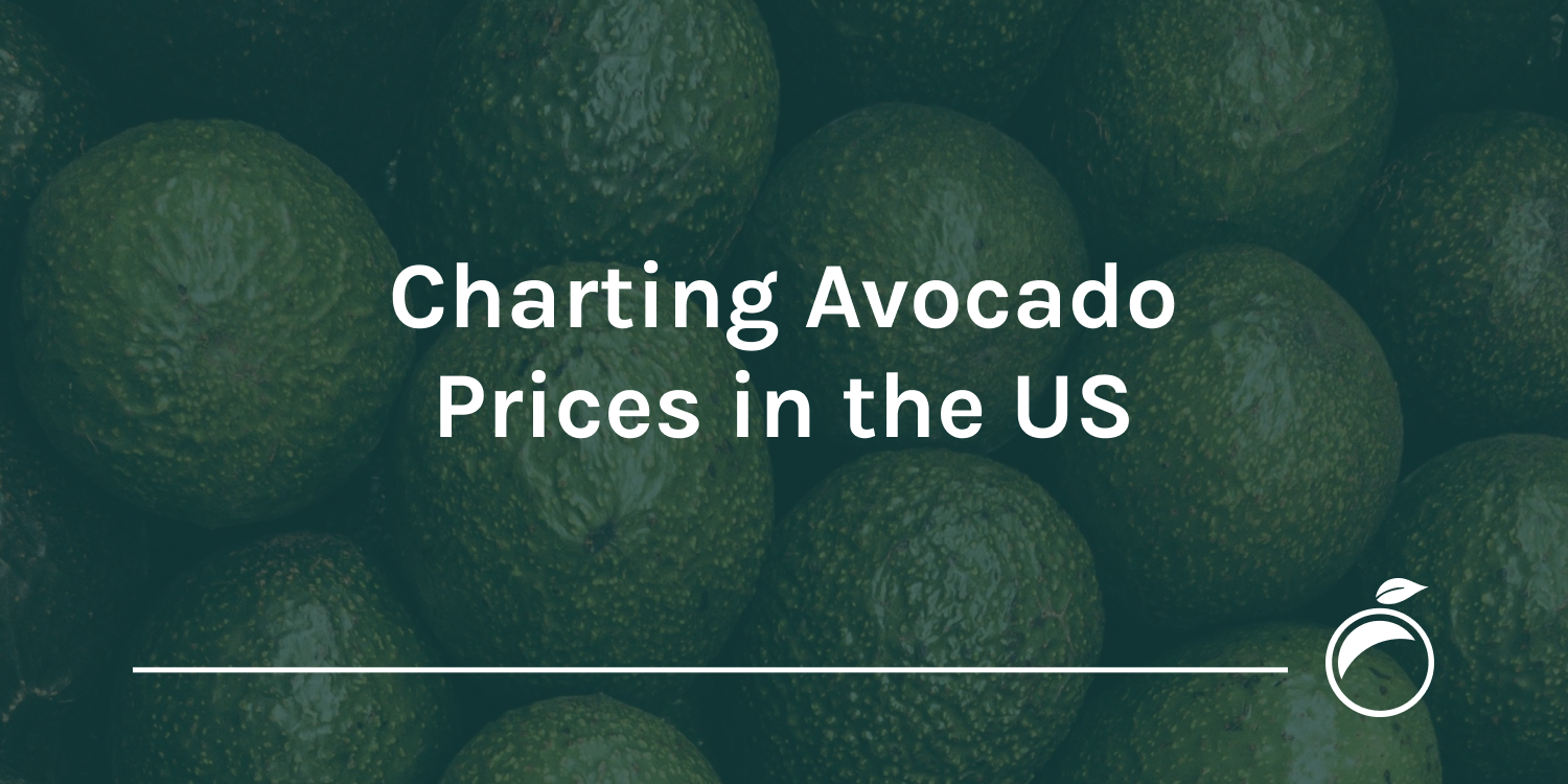 avocado prices