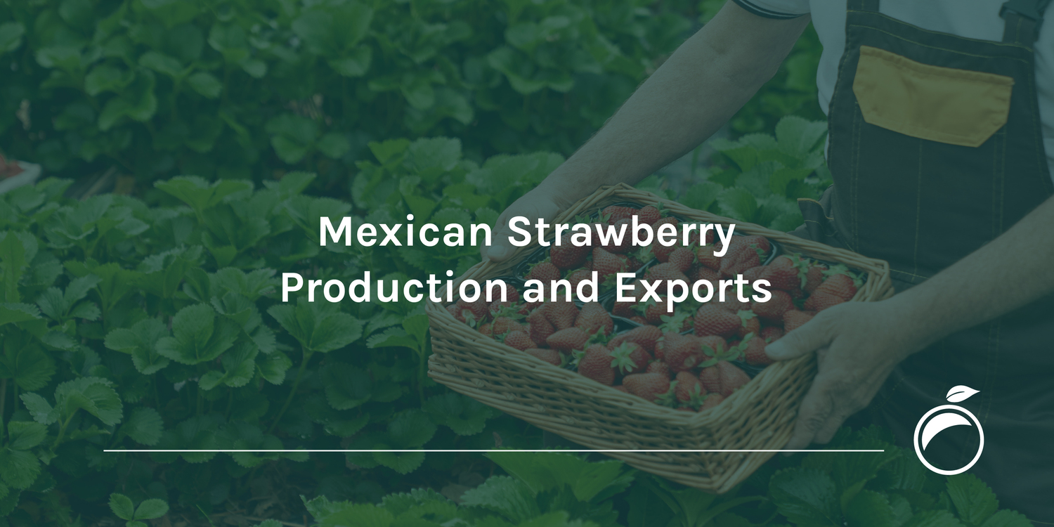 Mexican Strawberry Production and Exports